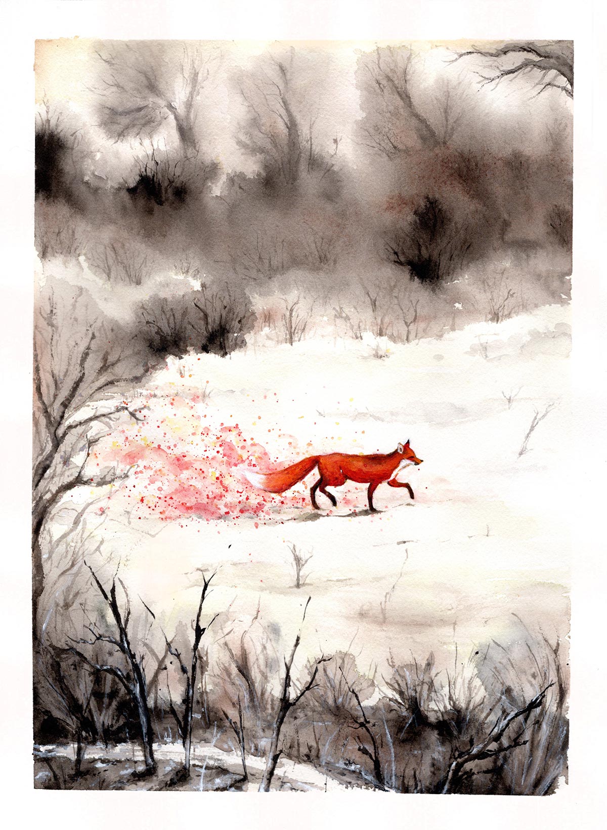 gallery_acca_illustrazione_chiara_mendicino